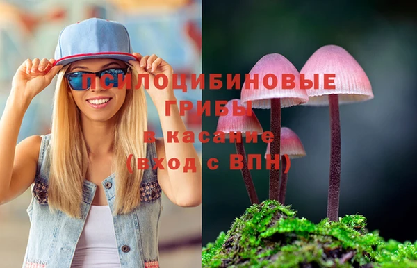 а пвп мука Абдулино